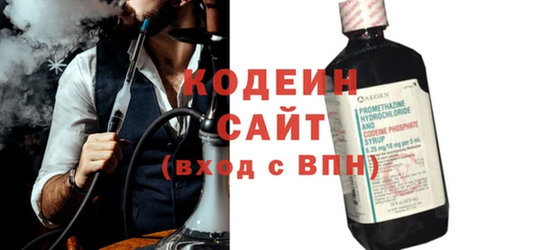 шишки Абаза