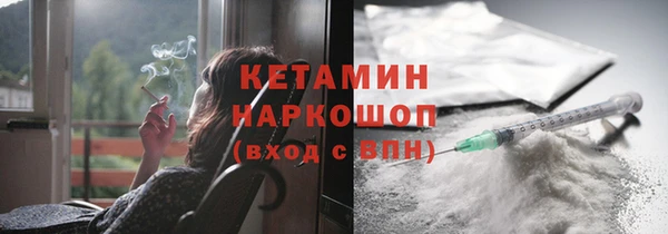 шишки Абаза