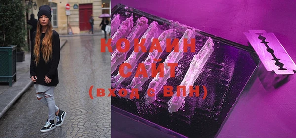 шишки Абаза