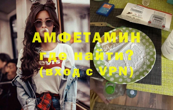 шишки Абаза
