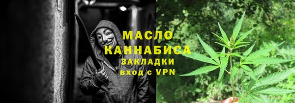 шишки Абаза