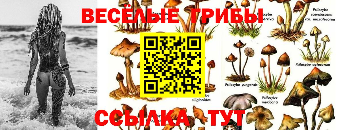 Галлюциногенные грибы ЛСД  Вход с VPN  где можно купить наркотик  Якутск 