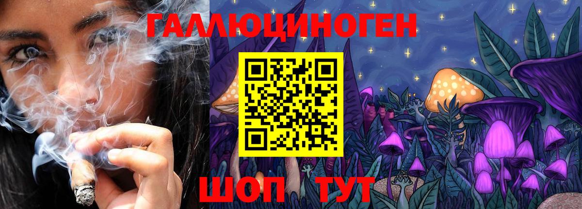Псилоцибиновые грибы Psilocybine cubensis Якутск