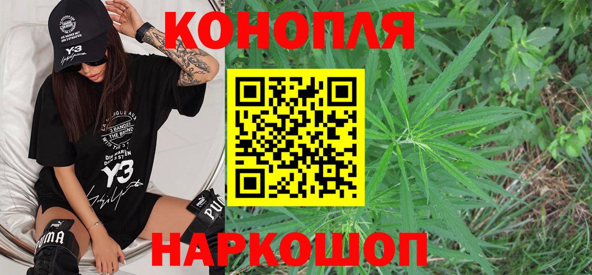 Бошки марихуана THC 21%  Марихуана планчик  Вход с VPN  Бошки Шишки Bruce Banner  Якутск 